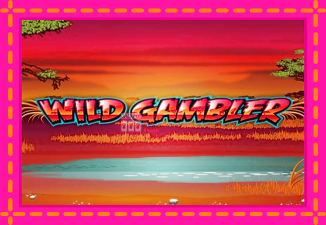 Slot machine Wild Gambler