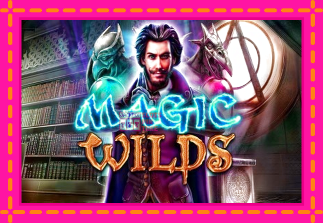 Slot machine Magic Wilds