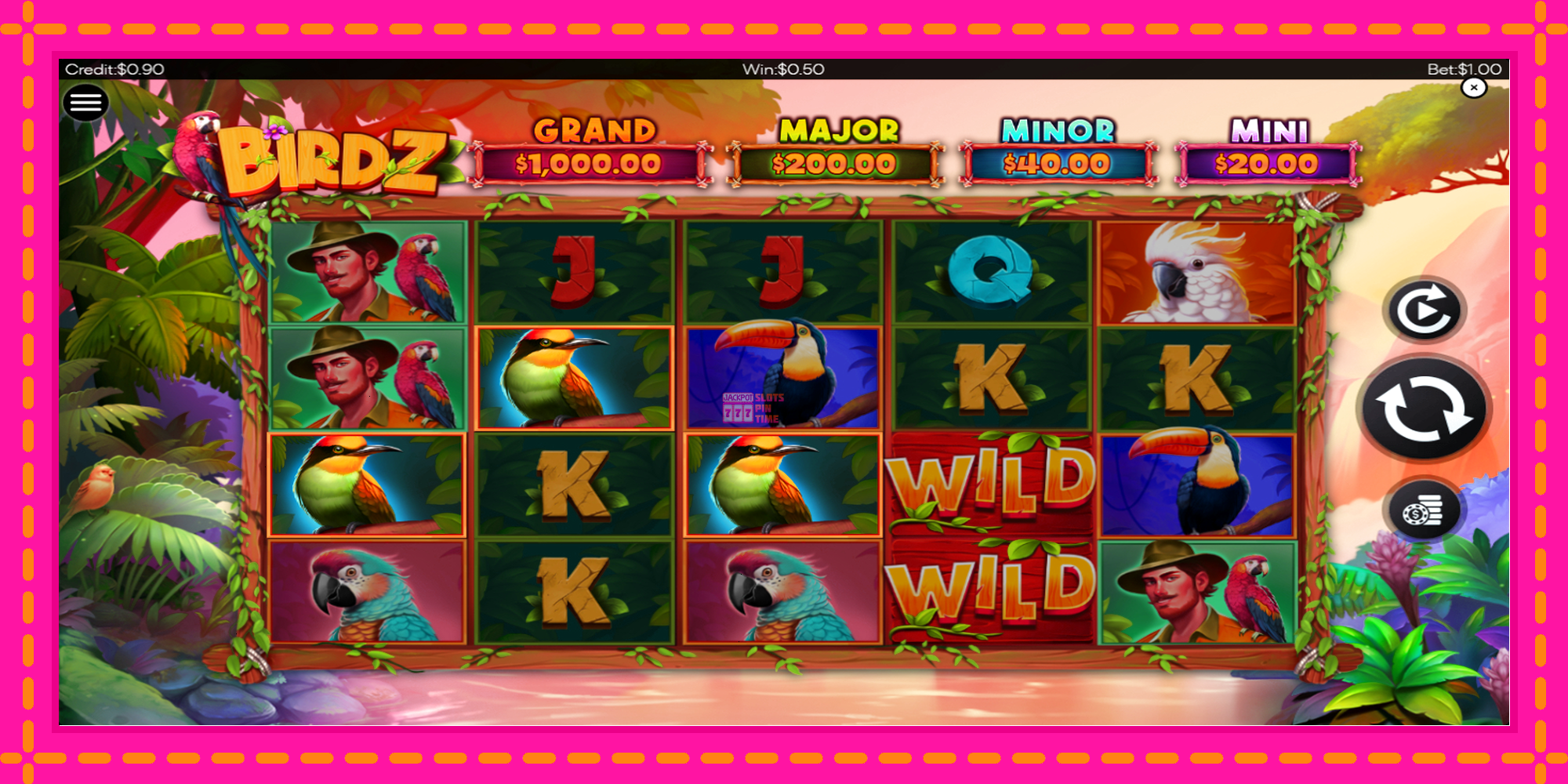 Slot machine BIRDZ gratuitamente, immagine 2